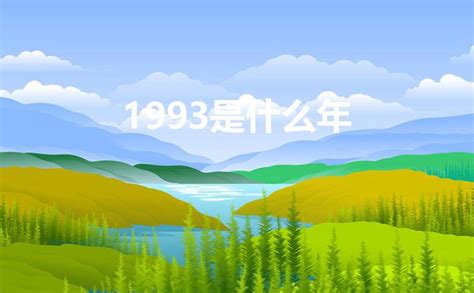 1993年是什么年